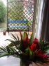 Garden through Door