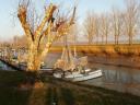 Water tree and boat